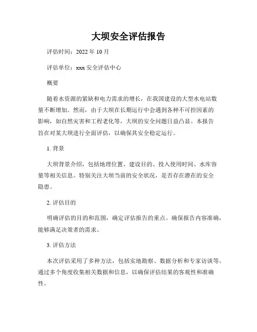 大坝安全评估报告
