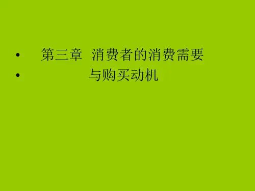 13消费者行为学PPT课件