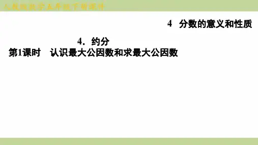 (新插图)人教版五年级下册数学 4-4-1 认识最大公因数和求最大公因数 知识点梳理课件
