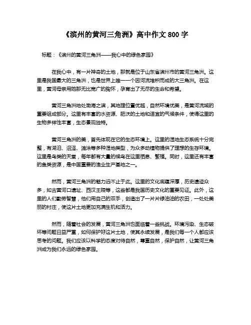 《滨州的黄河三角洲》高中作文800字