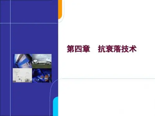 cha抗衰落技术PPT课件