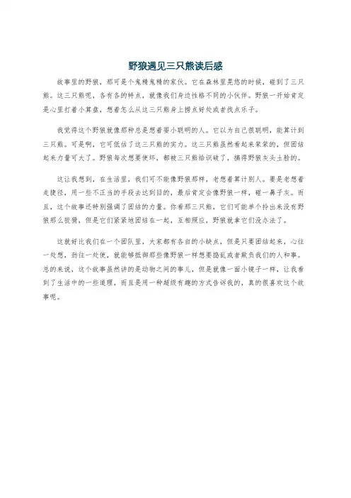 野狼遇见三只熊读后感