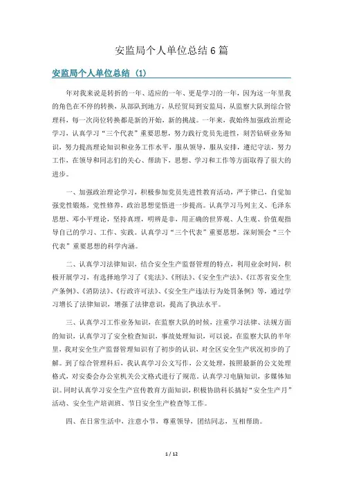 安监局个人单位总结6篇