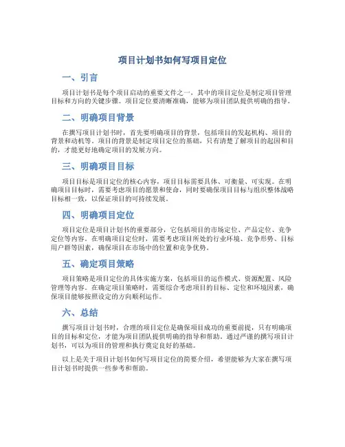 项目计划书如何写项目定位