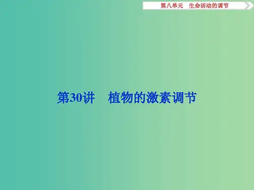 高考生物大一轮复习 第八单元 生命活动的调节 第30讲 植物的激素调节