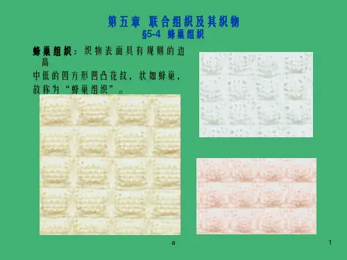 联合组织及其织物5-4蜂巢组织(1)