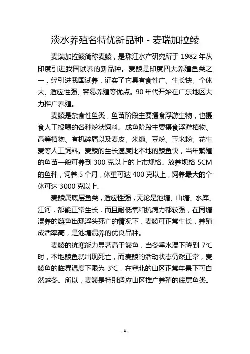 淡水养殖名特优新品种-麦瑞加拉鲮
