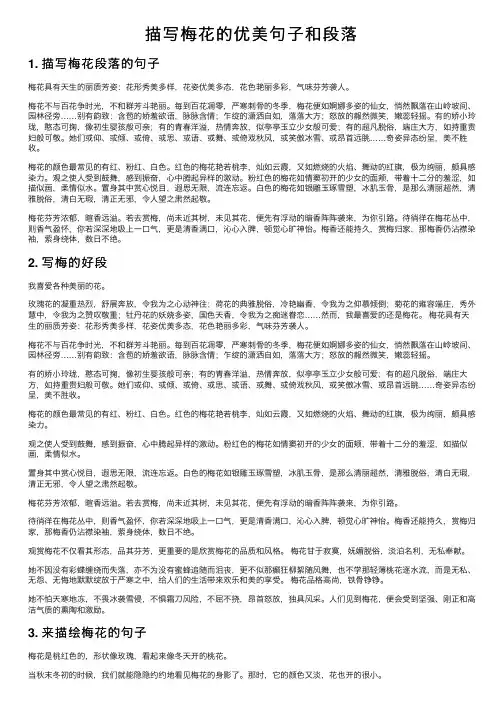 描写梅花的优美句子和段落