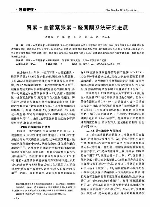 肾素-血管紧张素-醛固酮系统研究进展