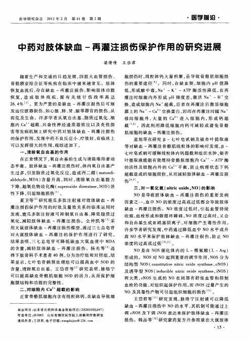 中药对肢体缺血-再灌注损伤保护作用的研究进展