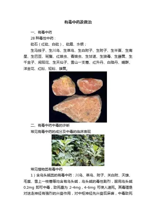 有毒中药及救治