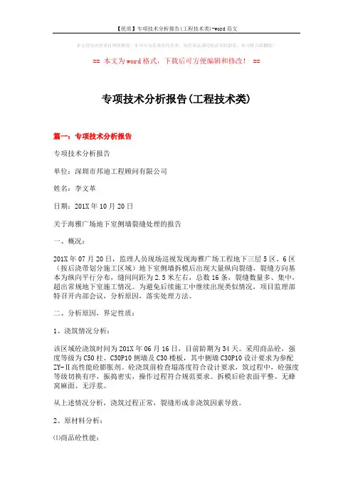 【优质】专项技术分析报告(工程技术类)-word范文 (12页)