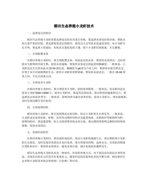 稻田生态养殖小龙虾技术