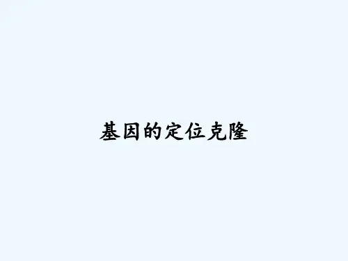 基因的定位克隆-PPT