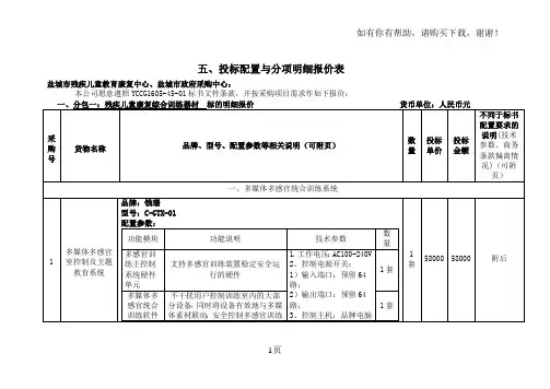 投标配置与分项明细报价表