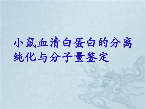 血清白蛋白的分离纯化-18