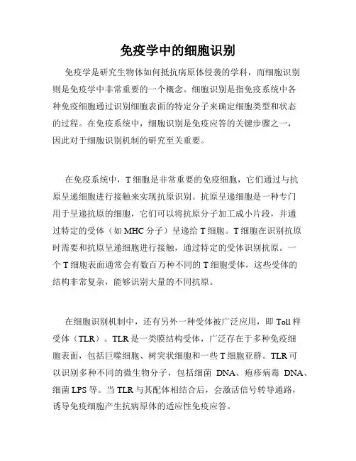 免疫学中的细胞识别