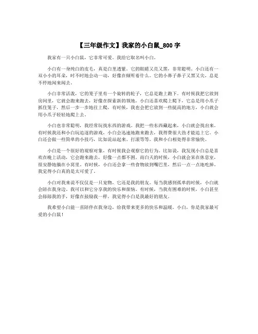 【三年级作文】我家的小白鼠_800字