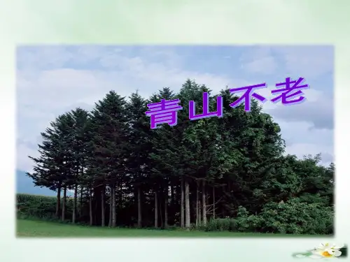 部编版语文《青山不老》ppt上课课件1