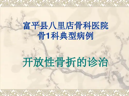 开放性骨折治疗案例