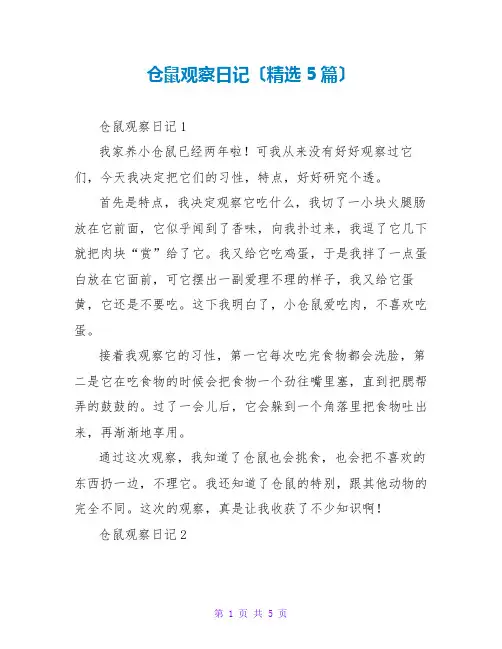 仓鼠观察日记(精选5篇)