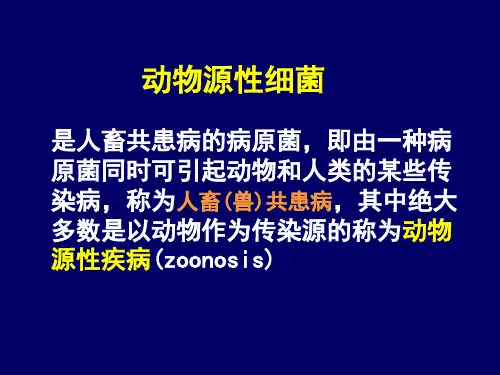 病原生物学[第16章 动物源性细菌]PPT幻灯片