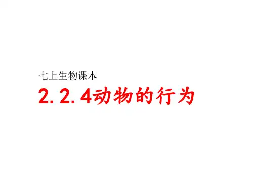 济南版七上生物2.2.4 动物的行为课件