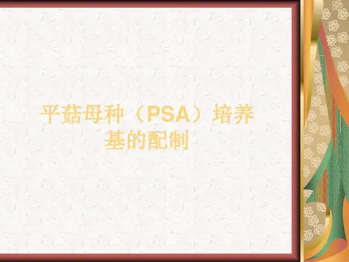平菇母种培养基的配制