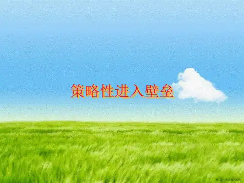 策略性进入壁垒
