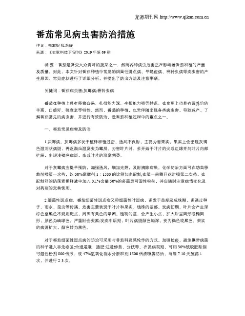 番茄常见病虫害防治措施