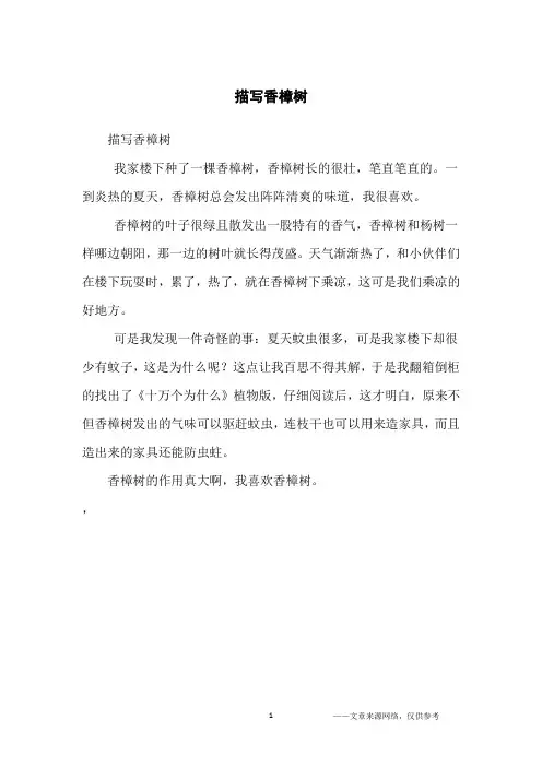 描写香樟树_初中生