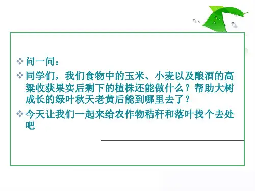 4给秸秆和落叶找去处 课件(共15张ppt)  上学期综合实践活动七年级 教科版