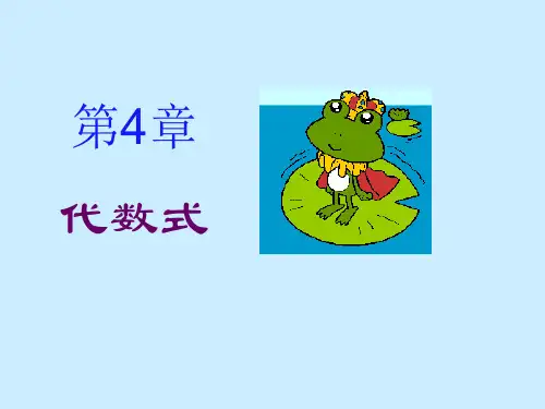 浙教版初中数学七年级上册  用字母表示数  课件 _优秀课件资料