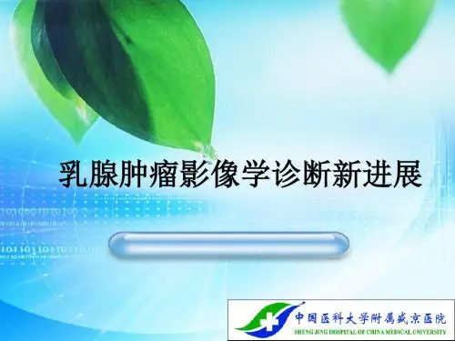 乳腺肿瘤影像学进展概要