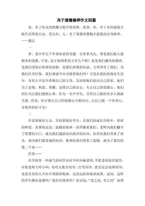 关于道德修养作文四篇范文精选