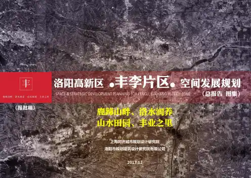洛阳高新区丰李片区空间发展规划总报告(公示)