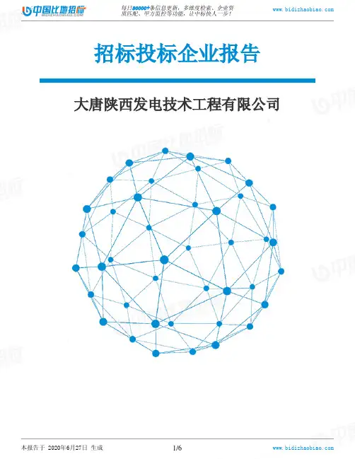大唐陕西发电技术工程有限公司-招投标数据分析报告