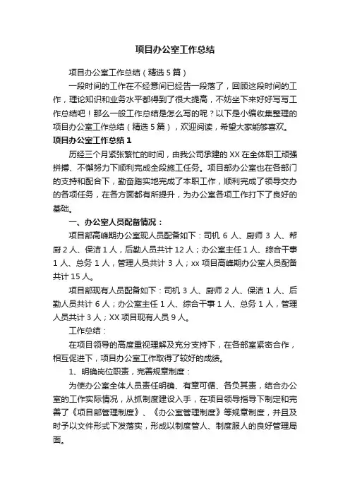 项目办公室工作总结（精选5篇）