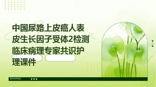 中国尿路上皮癌人表皮生长因子受体2检测临床病理专家共识护理课件