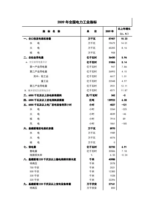 2009年电力工业统计数据