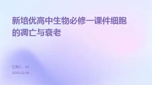 新培优高中生物必修一课件细胞的凋亡与衰老