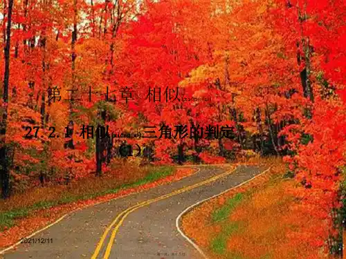 九年级数学下册 第二十七章 相似 27.2 相似三角形 27.2.1 相似三角形的判定(1)
