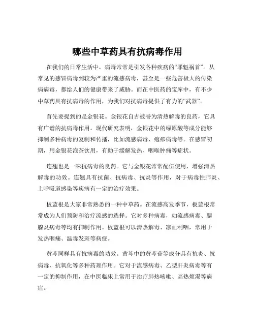 哪些中草药具有抗病毒作用
