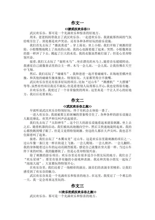 武汉欢乐谷作文400字四年级