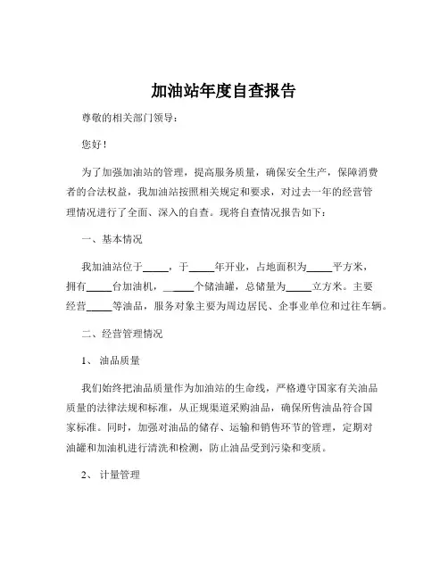 加油站年度自查报告