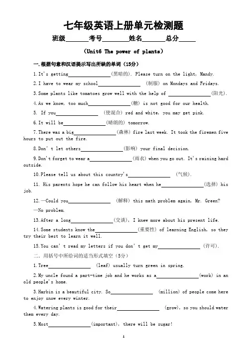 初中英语新外研版七年级上册Unit6检测题(附参考答案和解析)(2024秋)