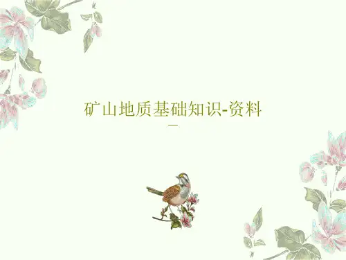 矿山地质基础知识-资料共109页