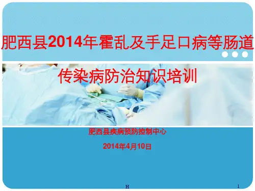 霍乱等肠道传染病培训