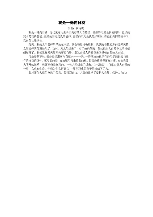 罗诗琪《我是一株向日葵》