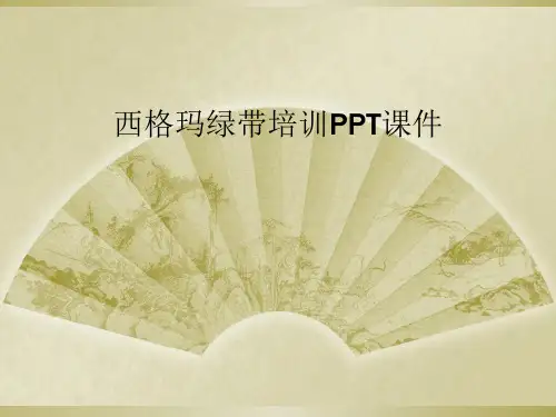 西格玛绿带培训PPT课件